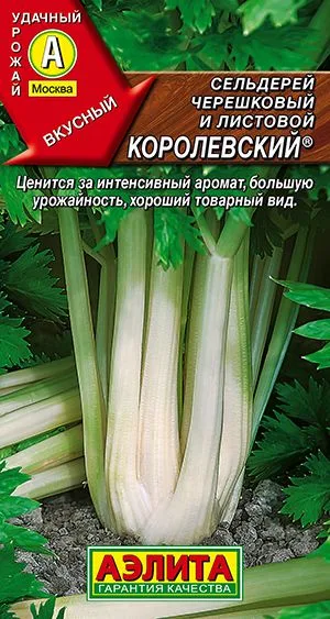 Сельдерей черешковый Королевский