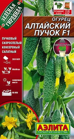Огурец Алтайский пучок F1