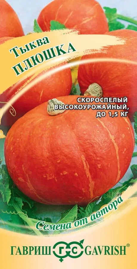 Тыква Плюшка