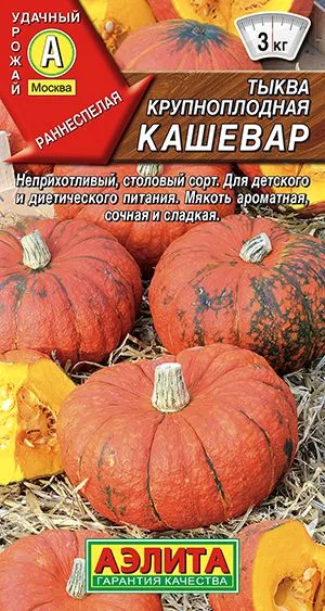 Тыква крупноплодная Кашевар