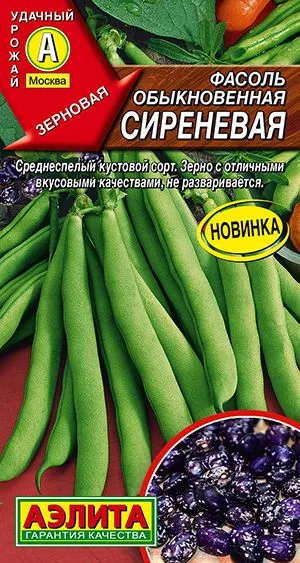 Фасоль обыкновенная Сиреневая