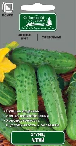 Огурец Алтай