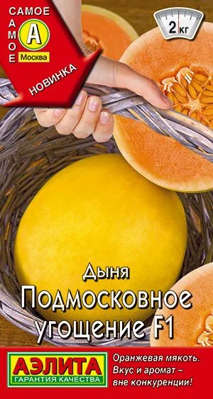 Дыня Подмосковное угощение F1