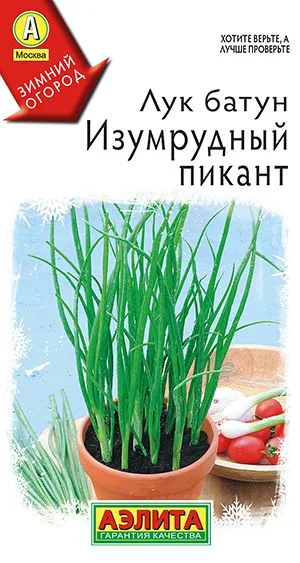 Лук батун Изумрудный пикант