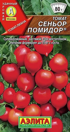 Томат Сеньор помидор