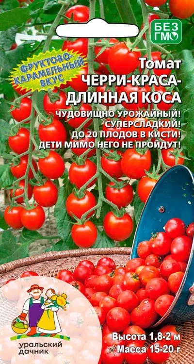 Томат Черри-краса-длинная коса