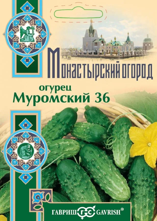 Огурец Муромский 36