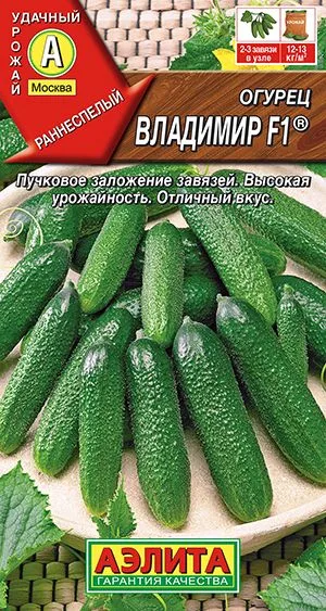 Семена: Огурец Владимир F1 ®