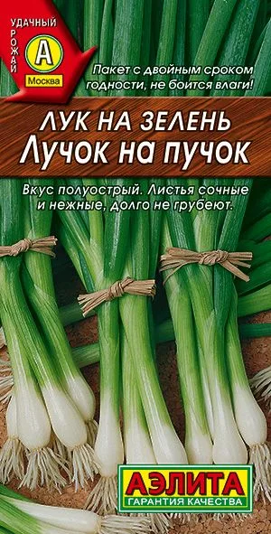 Лук на зелень Лучок на пучок