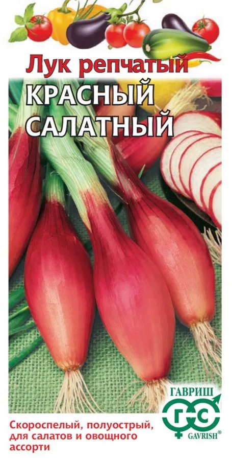 Лук репчатый Красный салатный