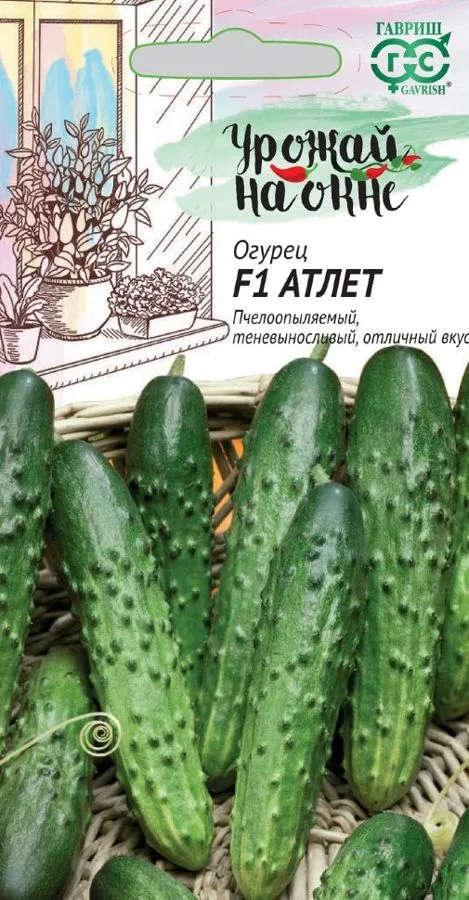 Семена: Огурец Атлет F1
