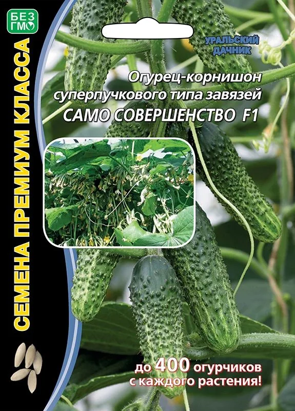 Огурец Само совершенство F1