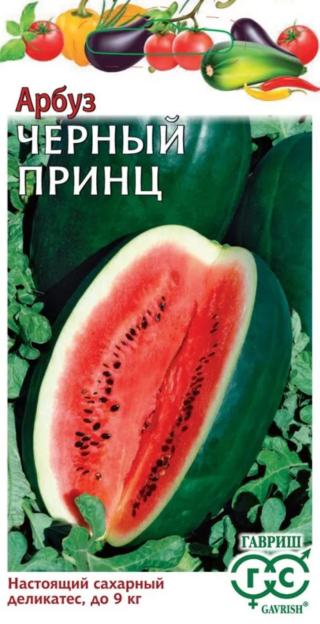 Арбуз Черный принц