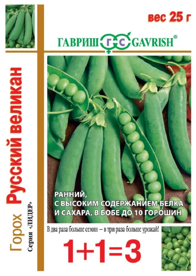 Фасоль Русский великан