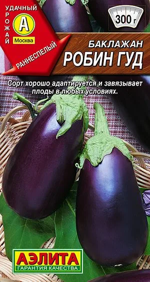 Баклажан Робин Гуд