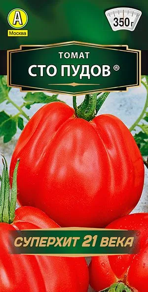 Томат Сто пудов