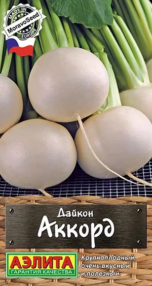 Редька Дайкон Аккорд