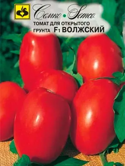 Томат Волжский F1