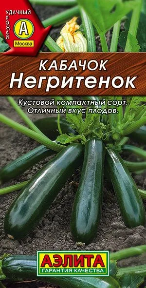 Кабачок цуккини Негритенок