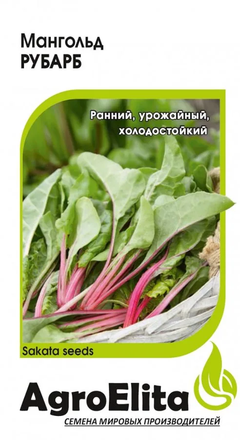 Салат Рубарб
