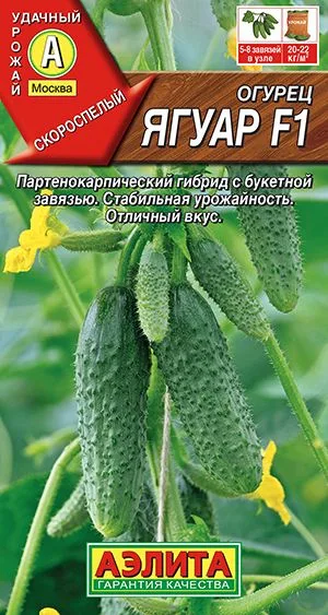 Огурец Ягуар F1