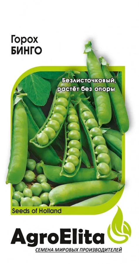 Фасоль Бинго