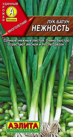 Лук батун Нежность