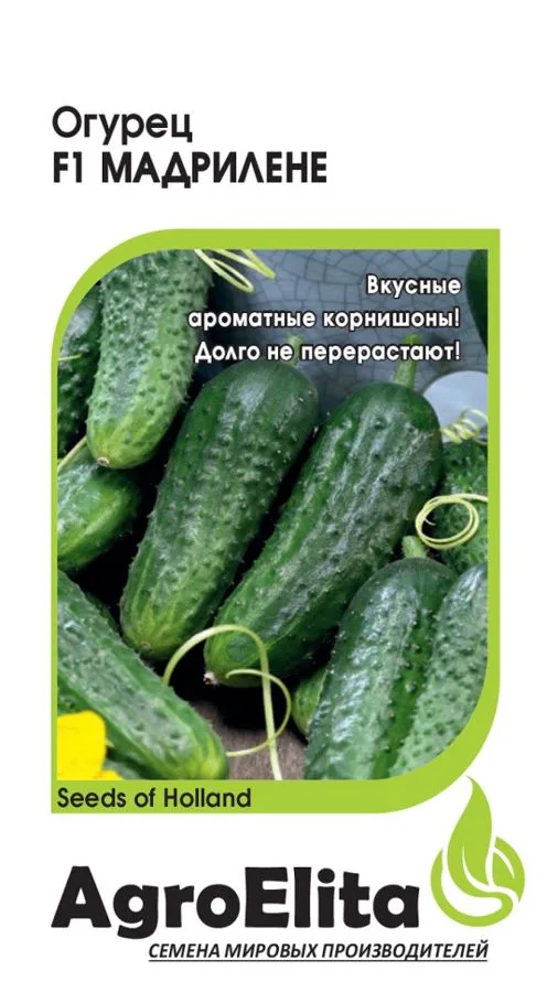 Огурец Мадрилене F1