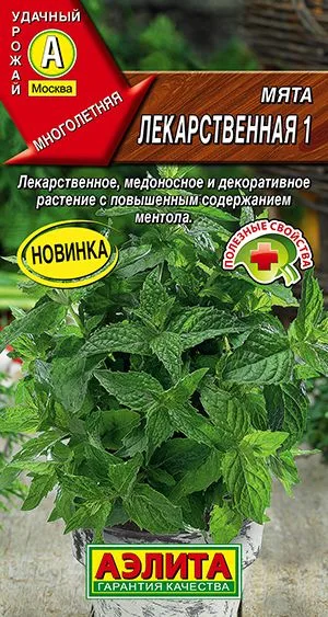Пряные травы Мята Лекарственная 1