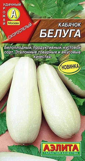 Кабачок белоплодный Белуга