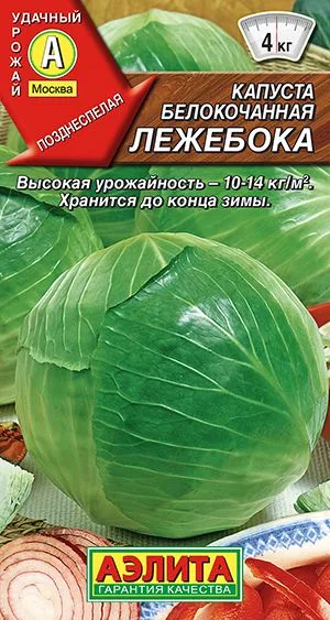 Капуста б/к Лежебока