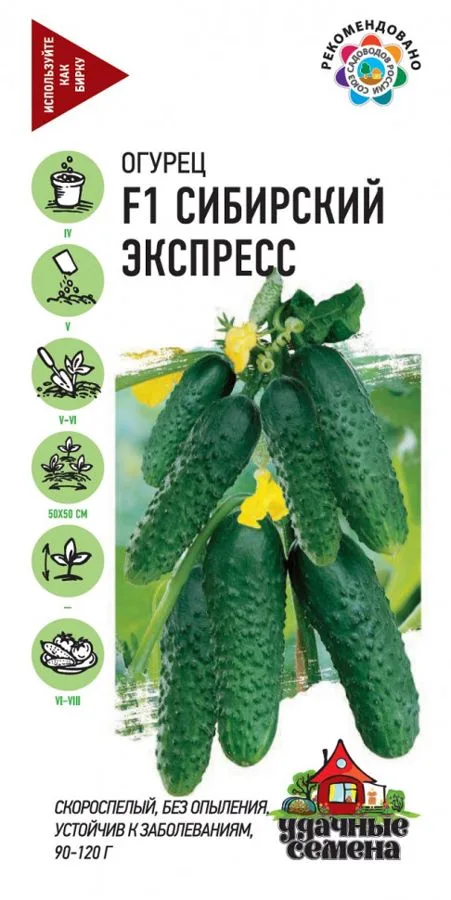 Огурец Сибирский экспресс F1