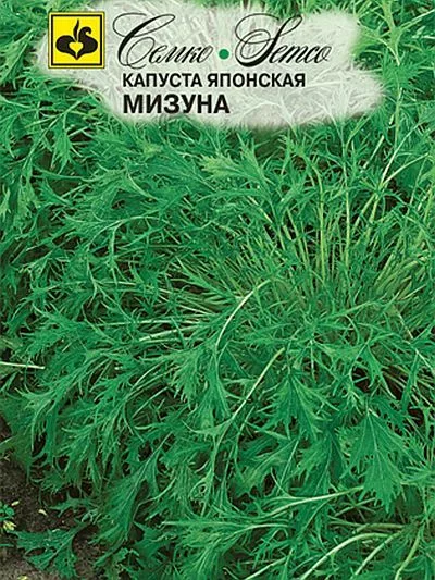 Капуста Мизуна