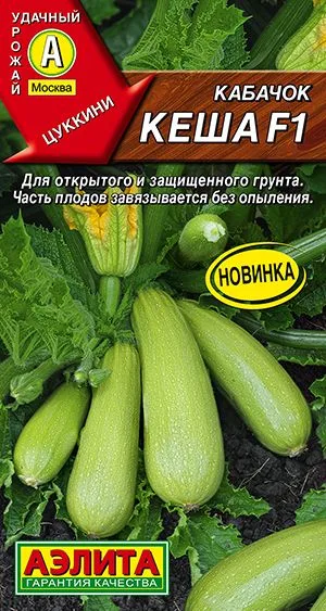 Кабачок цуккини Кеша F1