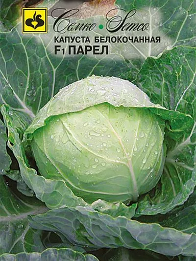 Капуста белокочанная Парел F1