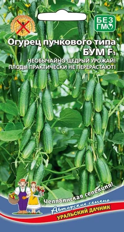 Семена: Огурец Бум F1
