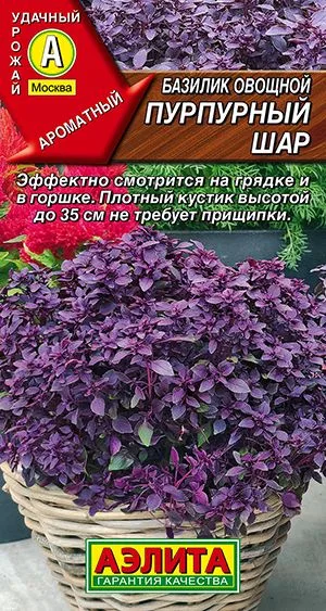 Базилик овощной Пурпурный шар