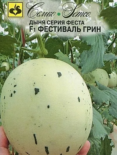 Дыня Фестиваль Грин F1