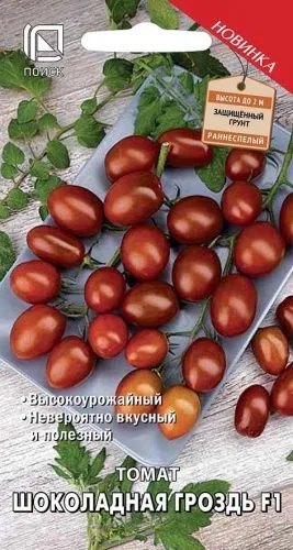 Томат Шоколадная гроздь F1