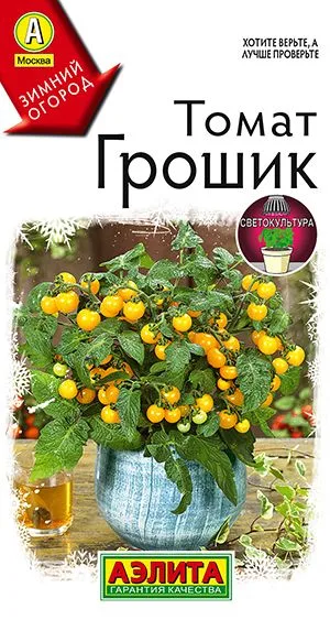 Томат Грошик