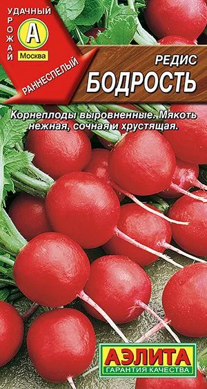 Редис Бодрость