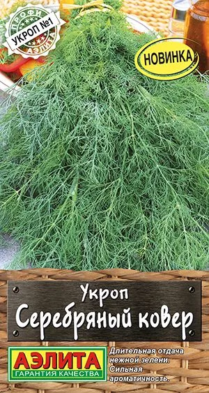 Укроп Серебряный ковер