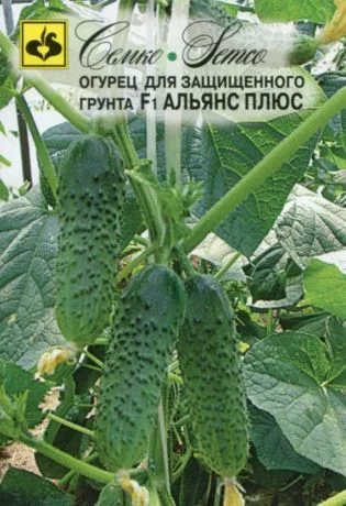 Огурец Альянс Плюс F1