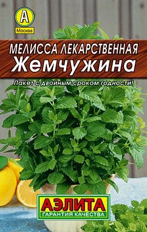 Пряные травы Мелисса лекарственная Жемчужина