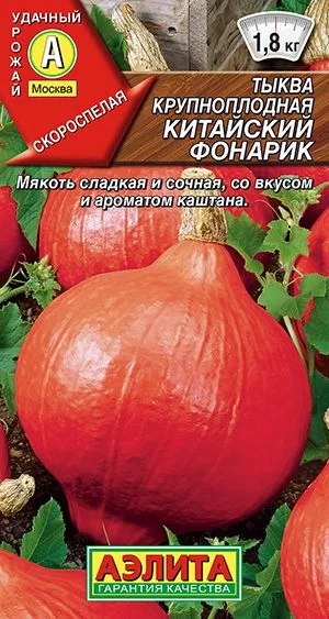 Тыква крупноплодная Китайский фонарик