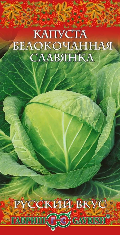Капуста белокочанная Славянка