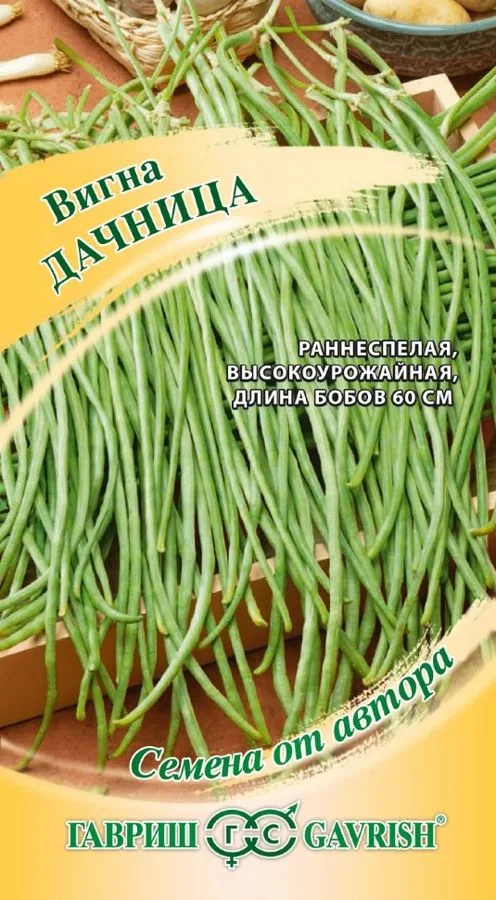 Фасоль Дачница