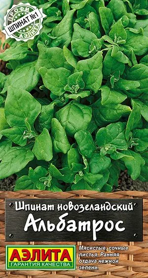 Салат Шпинат новозеландский Альбатрос