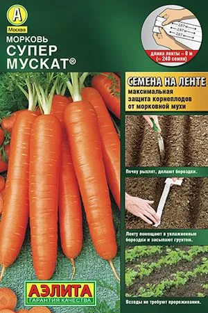 Морковь Супер Мускат