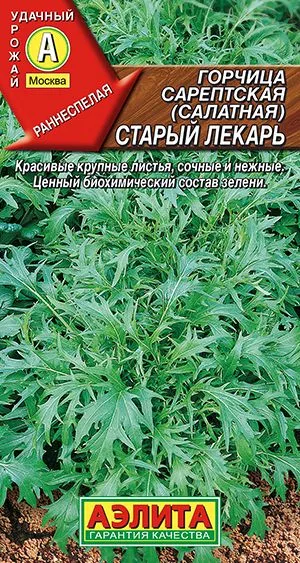 Пряные травы Горчица салатная Старый лекарь